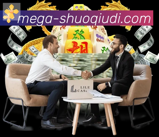 未来规划